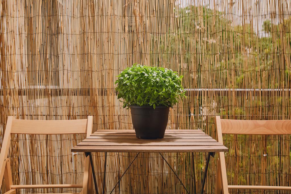 Modern And Cozy Apartment In The Centre Of Atény Exteriér fotografie